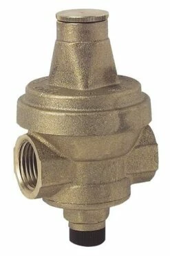 Réducteur De Pression Réglable à Membrane FF20/27